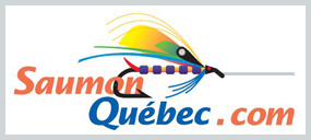 Saumon Québec